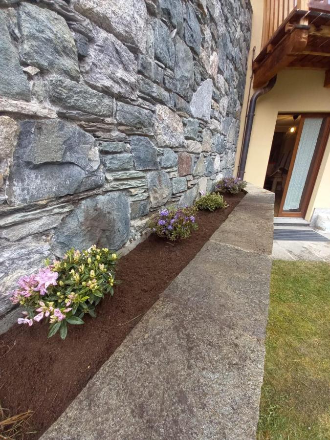 Punta Vittoria Sub 14 - Residence Anderbatt Gressoney - 3 Locali - Cir N 0010 Staval Exterior foto